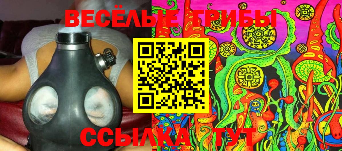 Псилоцибиновые грибы Psilocybe  Вход с VPN  Гурьевск 